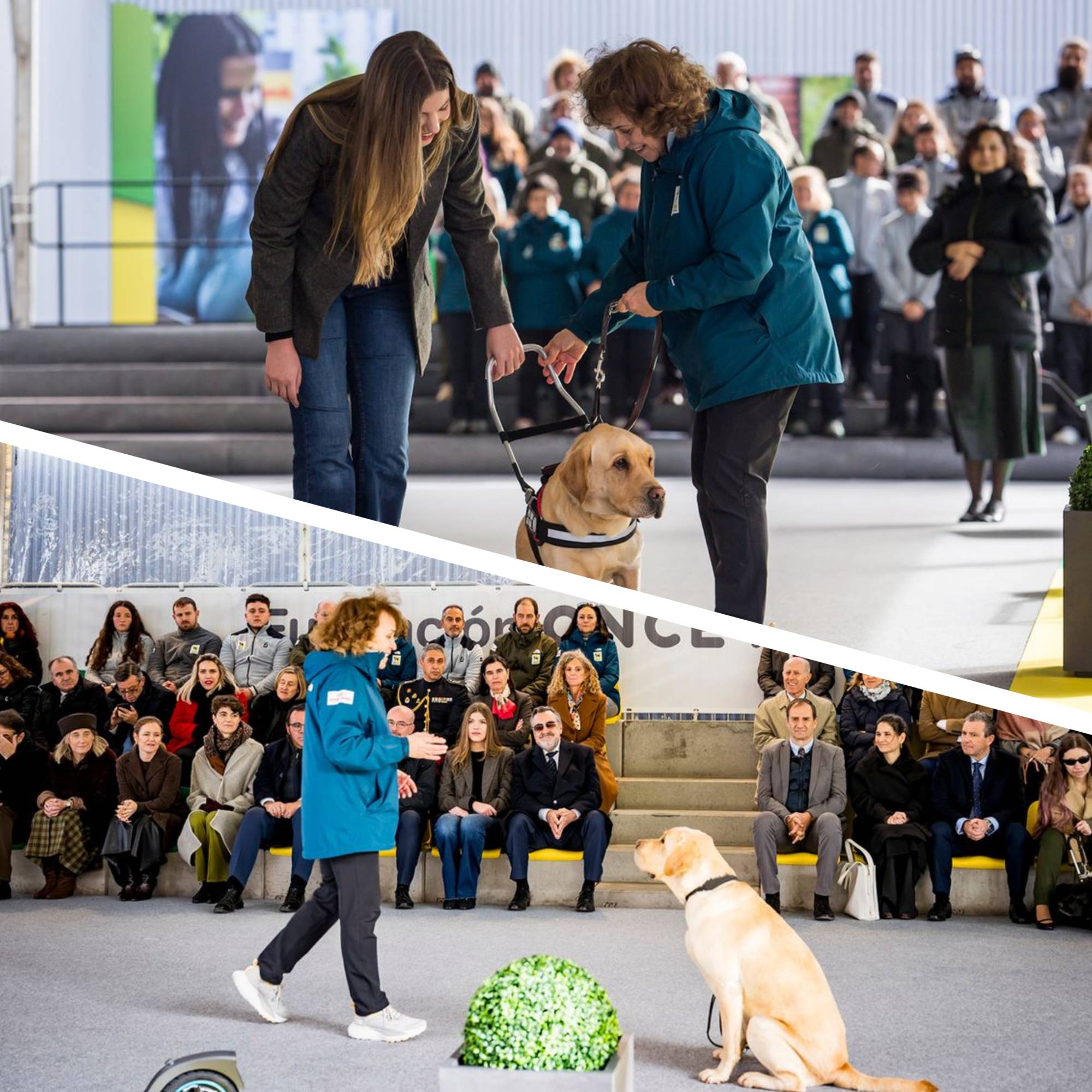 Dos momentos de la exhibición