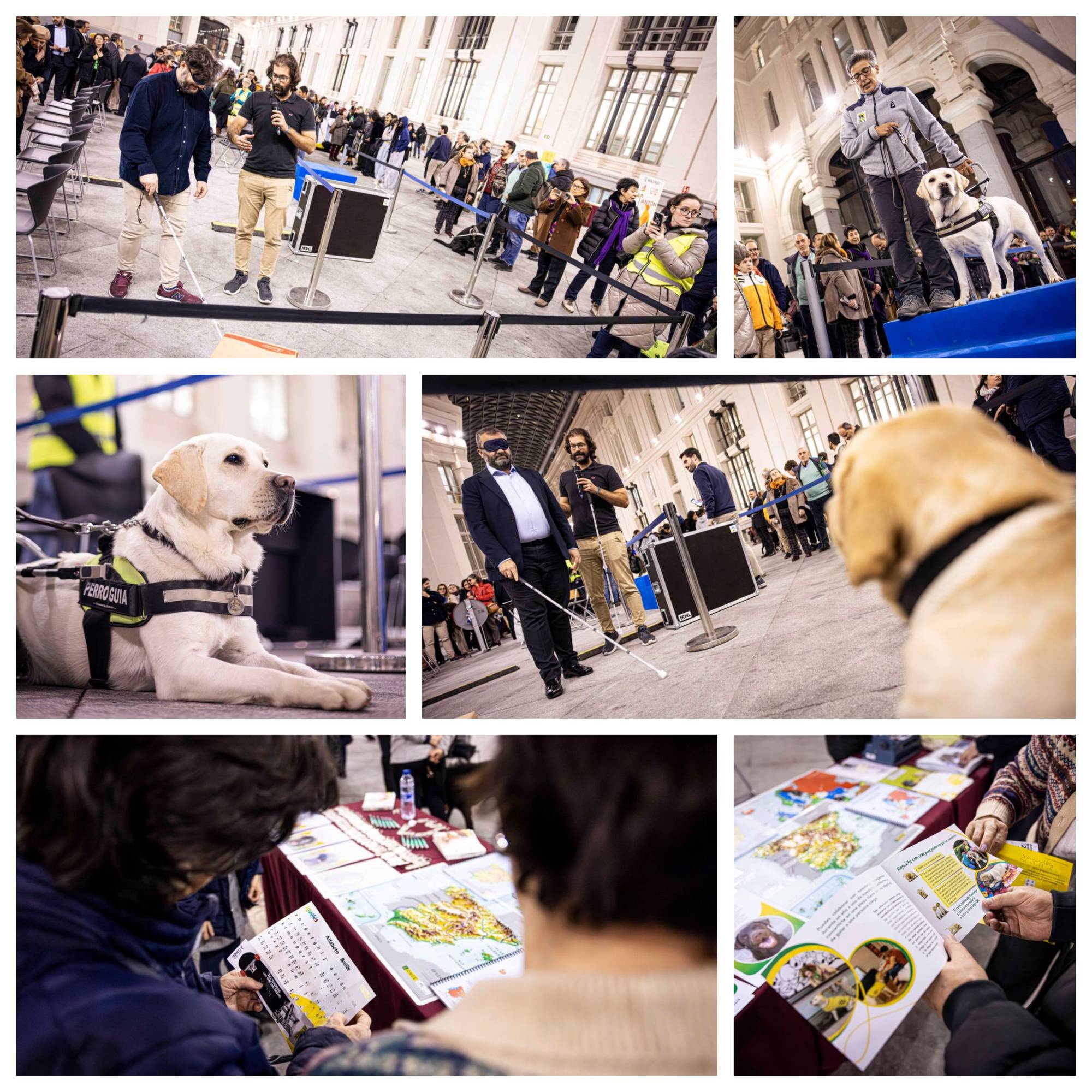 Varios momentos de la exhibición y punto de información