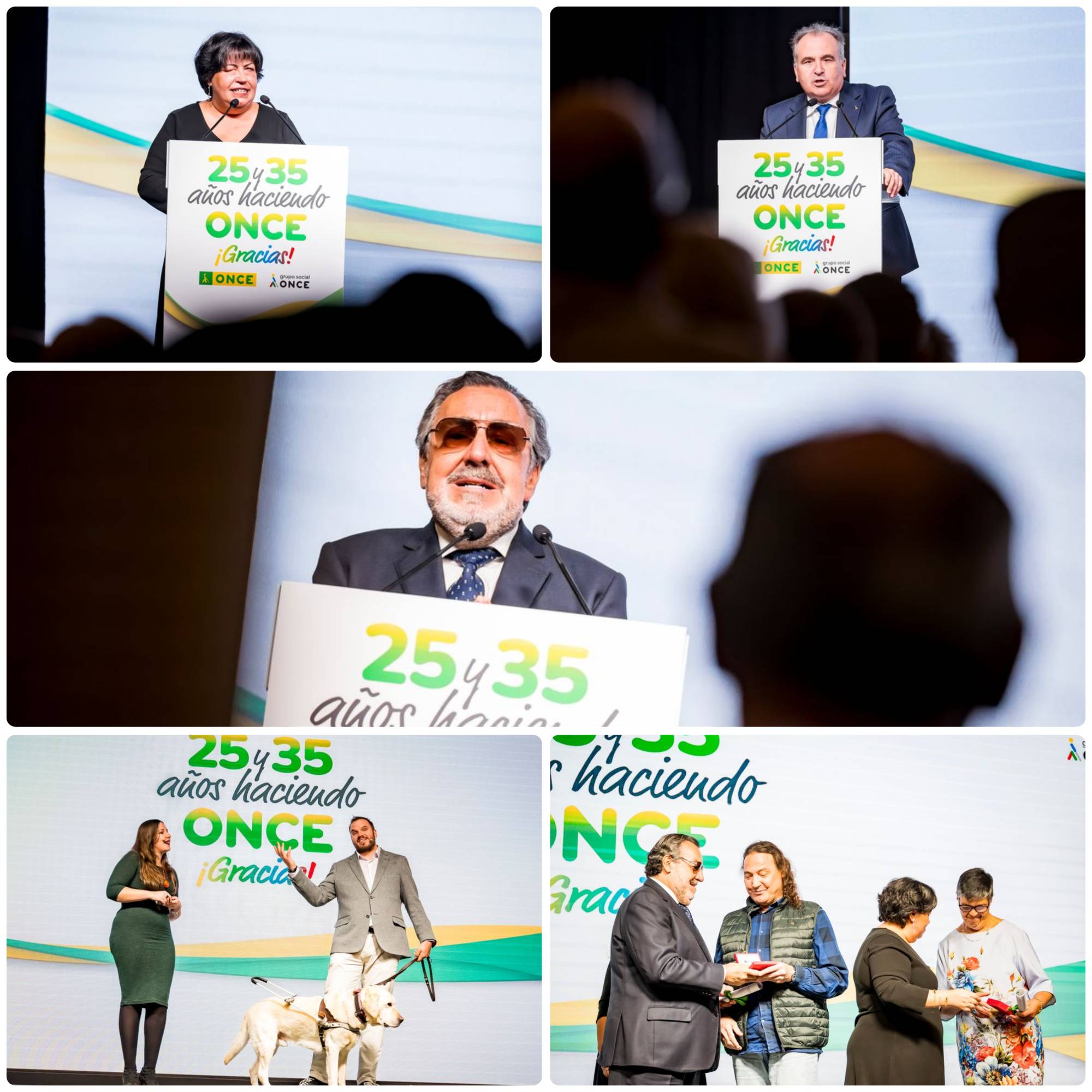 Collage con varios momentos del acto de entrega de medallas