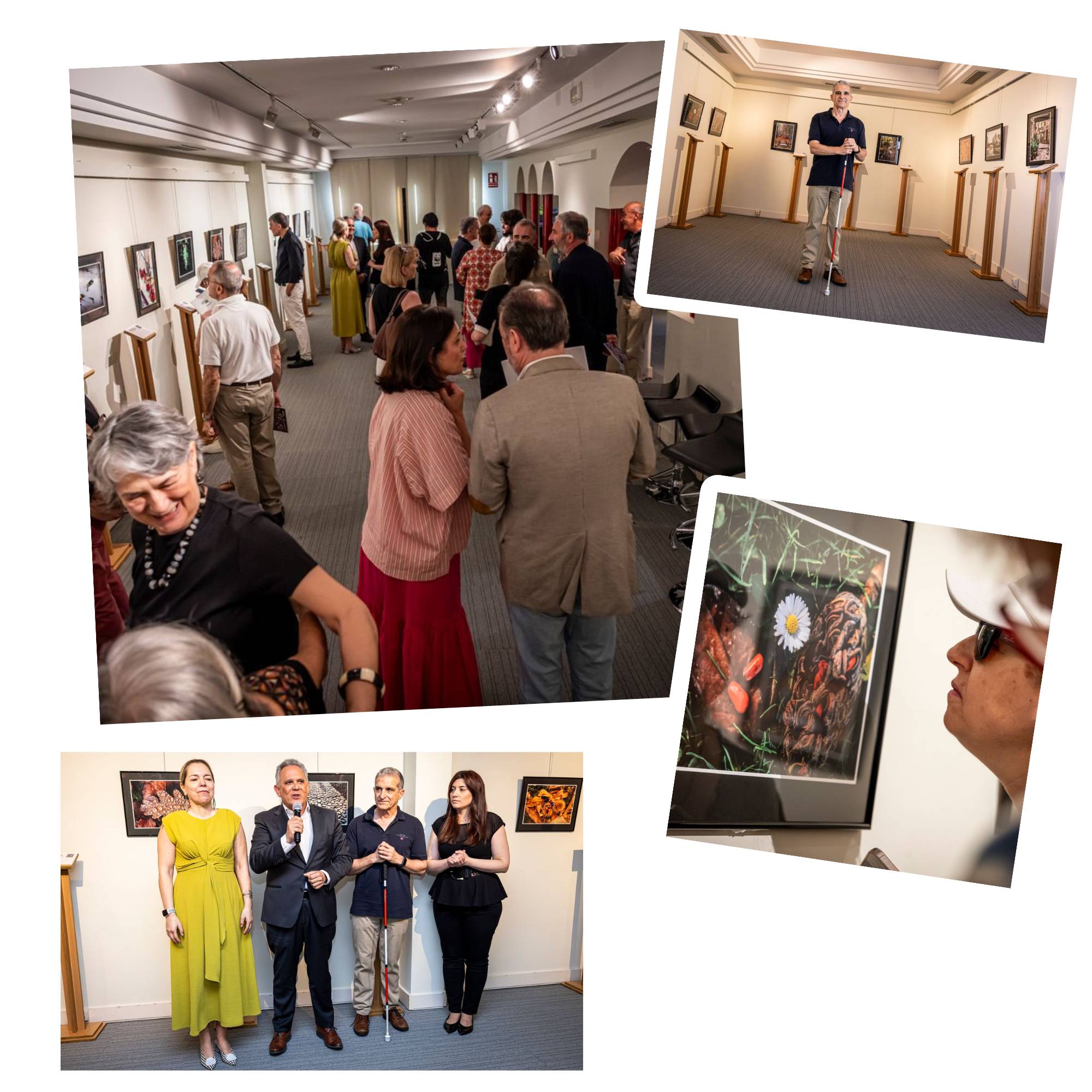 Varios momentos de la inauguración e la exposición