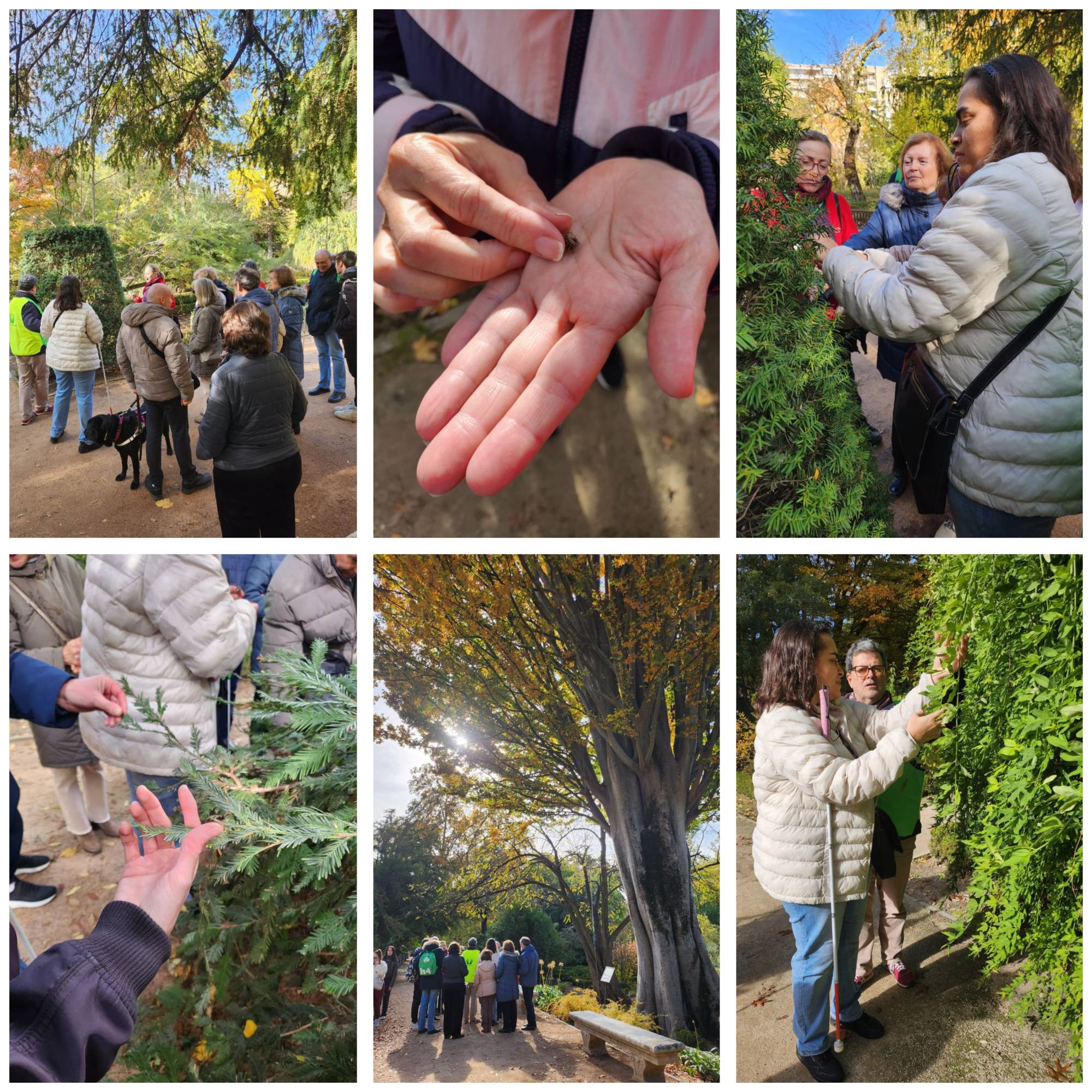 Varios momentos de la visita la Botánico